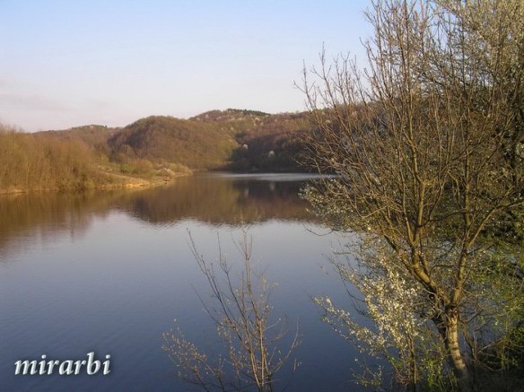 005. Oj, Srbijo (mart 2008.) - Jezero Garaši - blog „Putujte sa MirArbi“