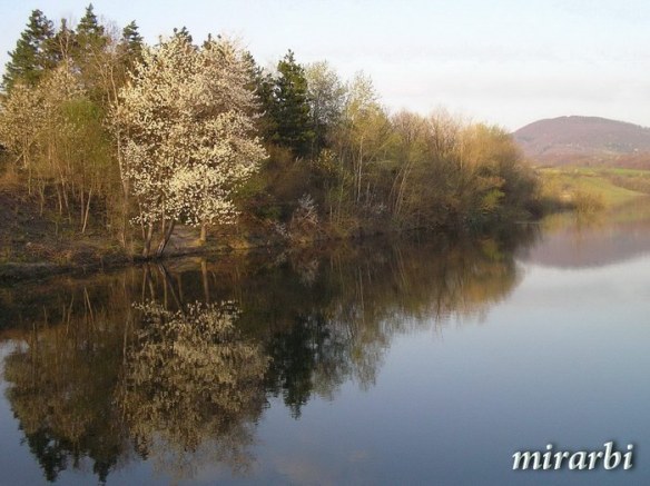 006. Oj, Srbijo (mart 2008.) - Jezero Garaši - blog „Putujte sa MirArbi“