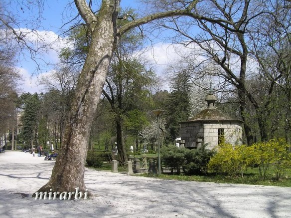 013. Oj, Srbijo (mart 2008.) - Park Bukovičke banje - blog „Putujte sa MirArbi“