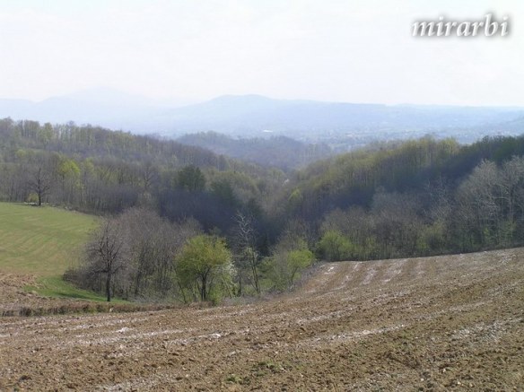 016. Oj, Srbijo (mart 2008.) - Šumadijski krajolik - blog „Putujte sa MirArbi“