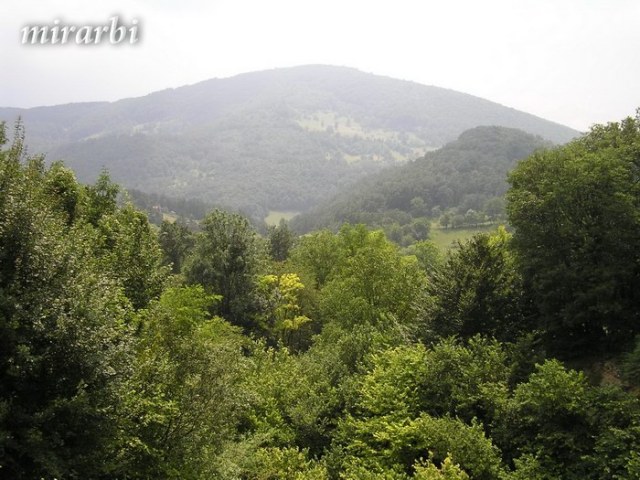021. Grza i Resava (jun 2007.) - Obronci planine Beljanice