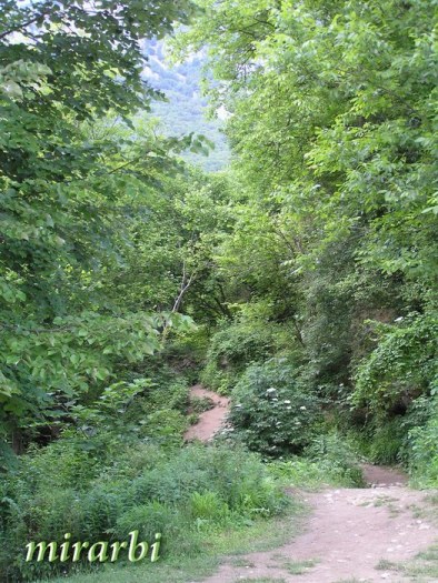 027. Grza i Resava (jun 2007.) - Prilaz vodopadu Veliki Buk - blog „Putujte sa MirArbi“