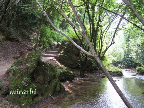 028. Grza i Resava (jun 2007.) - Prilaz vodopadu Veliki Buk - blog „Putujte sa MirArbi“