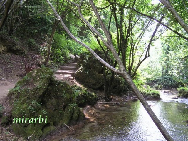 028. Grza i Resava (jun 2007.) - Prilaz vodopadu Veliki Buk