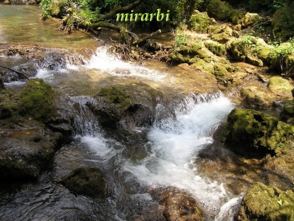 034. Grza i Resava (jun 2007.) - Rečica Vrelo - blog „Putujte sa MirArbi“