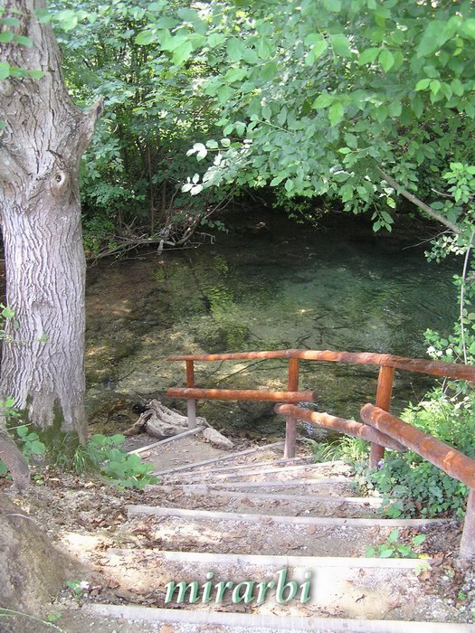 051. Grza i Resava (jun 2007.) - Stepenice do rečice Vrelo