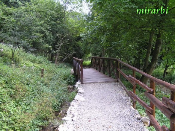 054. Grza i Resava (jun 2007.) - Nastavak pešačke staze - blog „Putujte sa MirArbi“