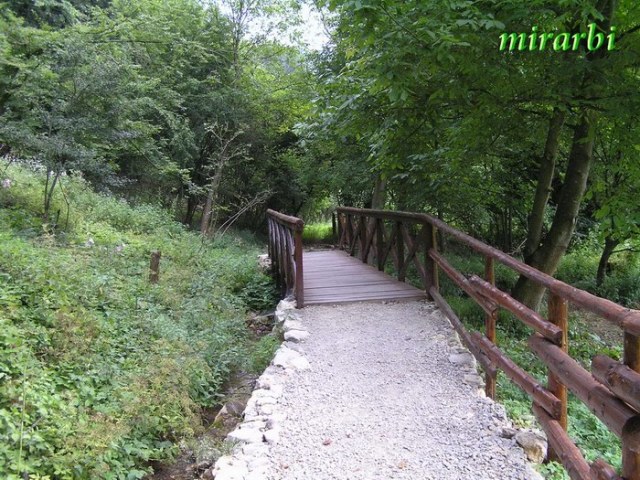 054. Grza i Resava (jun 2007.) - Nastavak pešačke staze