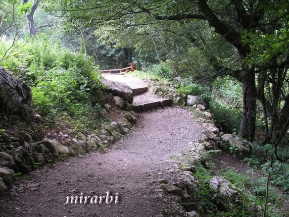 056. Grza i Resava (jun 2007.) - Pešačka staza - blog „Putujte sa MirArbi“