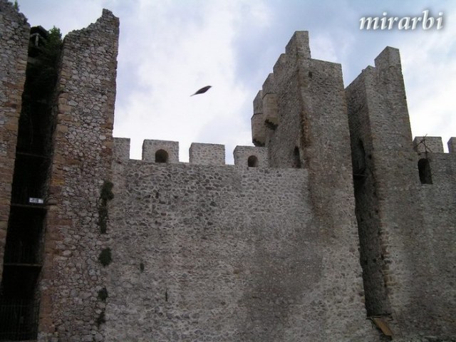 059. Grza i Resava (jun 2007.) - Zidine manastira Manasija