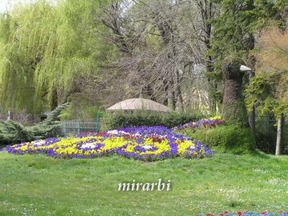 024. Palić (april 2007.) - Cvetni aranžman - blog „Putujte sa MirArbi“