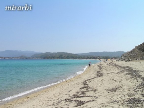 027. Boje i oblici Sitonije (2009. i 2010.) - Plaža Trani Amuda - blog „Putujte sa MirArbi“