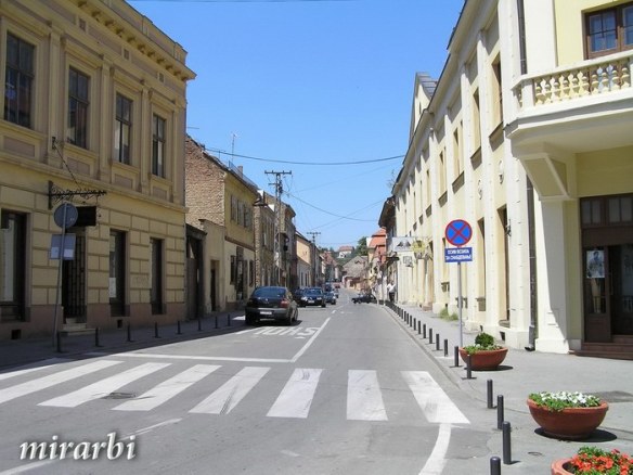 034. Novi Sad i Karlovci (oktobar 2007.) - Jedna od centralnih uličica - blog „Putujte sa MirArbi“