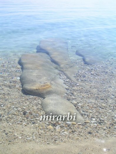 043. Boje i oblici Sitonije (2009. i 2010.) - Podvodne skulpture - blog „Putujte sa MirArbi“
