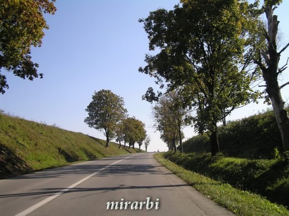 050. Novi Sad i Karlovci (oktobar 2007.) - Magistralni put - blog „Putujte sa MirArbi“