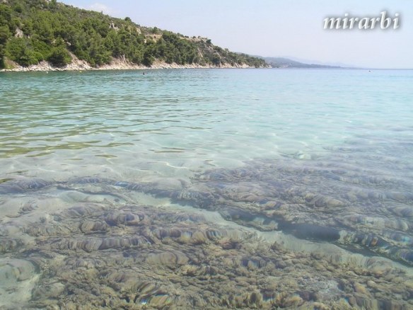 030. Sitonija (jul 2012.) - Plaža Agios Joanis - blog „Putujte sa MirArbi“