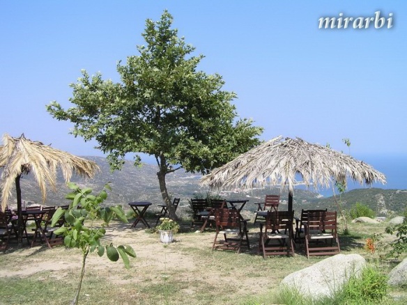 079. Sitonija (jul 2012.) - Bašta taverne „Panorama“ - blog „Putujte sa MirArbi“