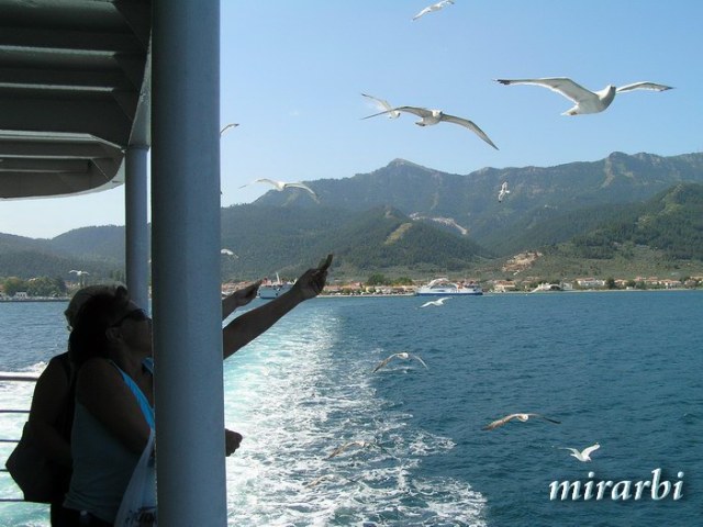Slika (Tasos - trajekt - povratak) sa stranice „Tasos - Plovidba trajektom“ na blogu „Putujte sa MirArbi“.