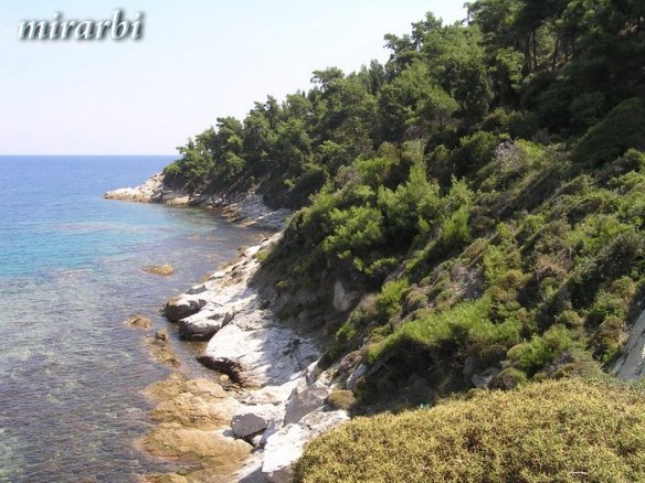 027. Tasoski pejzaži (2005. - 2011.) - Pogled sa brdašca iznad plaže Karnagio - blog „Putujte sa MirArbi“