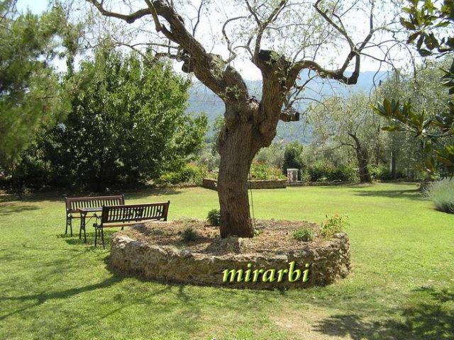 038. Tasoski pejzaži (2005. - 2011.) - Vrt vile „Nostos“ u Skali Panagija - blog „Putujte sa MirArbi“