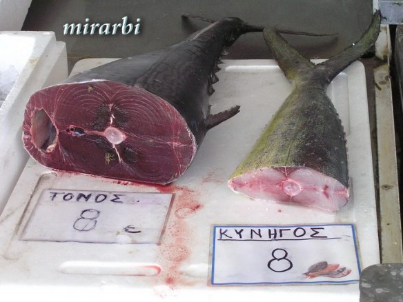 034. Ormos Panagias (jul 2014.) - Sveža riba - blog „Putujte sa MirArbi“