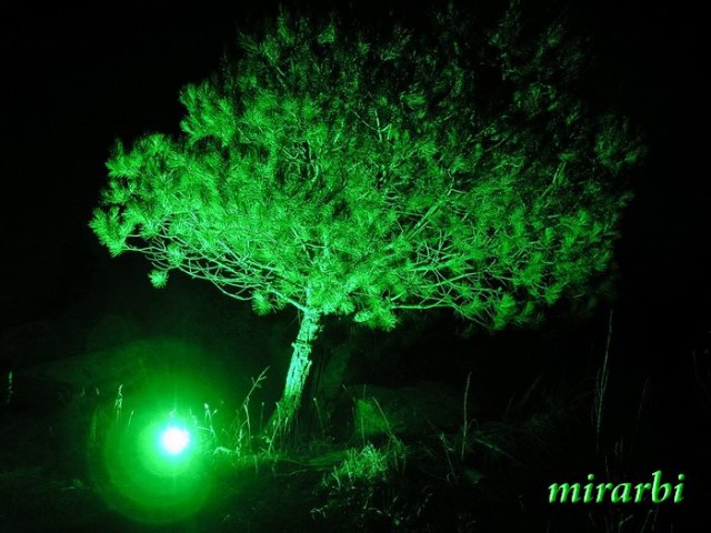 082. Ormos Panagias (jul 2014.) - Osvetljeno drvce iza kafića „On the rocks“ noću - blog „Putujte sa MirArbi“ 