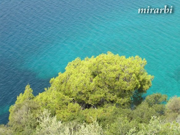 001. Boje i oblici Sitonije (jul 2014.) - Obala između Nikitija i Neos Marmarasa - blog „Putujte sa MirArbi“
