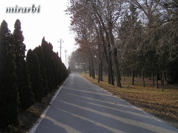 001. Vila „Majur“ Kelebija (decembar 2016.) - Put koji vodi do vile - blog „Putujte sa MirArbi“