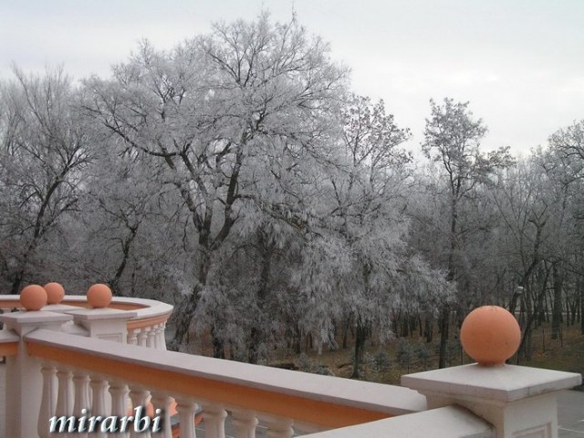 031. Vila „Majur“ Kelebija (decembar 2016.) - Pogled sa balkona apartmana 309 - blog „Putujte sa MirArbi“ 
