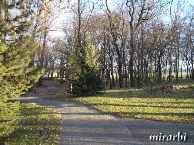 044. Vila „Majur“ Kelebija (decembar 2016.) - Park - blog „Putujte sa MirArbi“ 