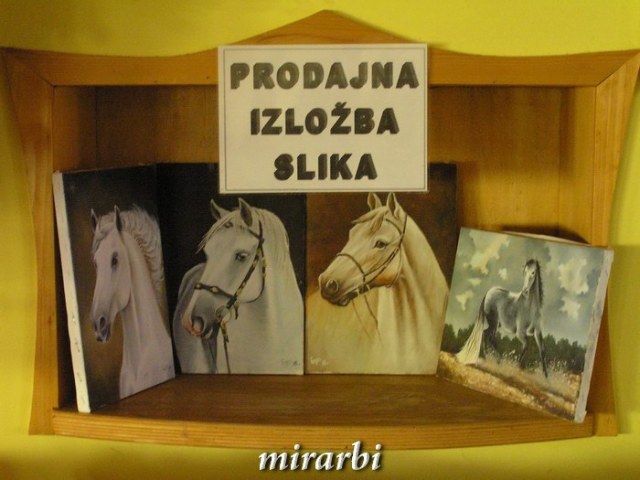 048. Ergela lipicanera „Kelebija“ (decembar 2016.) - Izložba u gostioni - blog „Putujte sa MirArbi“ 