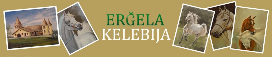 Naslovna slika stranice „Ergela lipicanera „Kelebija“ (decembar 2016.)“ na blogu „Putujte sa MirArbi“.