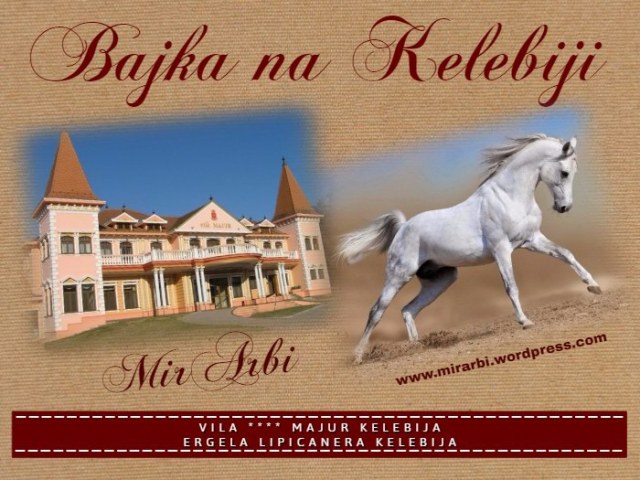 Slika (Razglednica Bajka na Kelebiji) sa stranice „Vila „Majur“ Kelebija (decembar 2016.)“ na blogu „Putujte sa MirArbi“.
