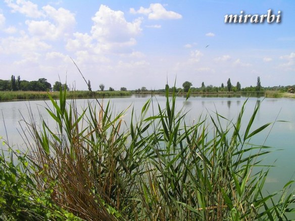 034. Vila „Nikolas“ Palić (maj/jun 2018.) - Krvavo jezero