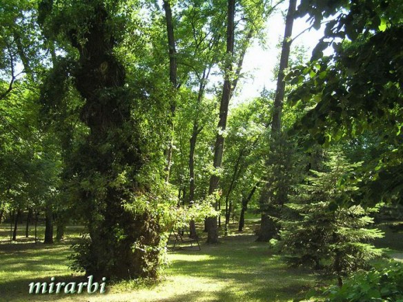 008. Bajka na Kelebiji - Park vile „Majur“ (maj 2017.)